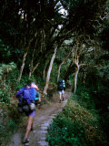Hiker and Porter on Inca Trail to Machu Picchu Above Llulluchayoc, Cuzco, Peru