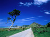 Gravel Road Linking Te Araroa to East Cape, Gisborne, New Zealand