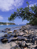 Buy Salt Pond Bay, St. John, USVI at AllPosters.com