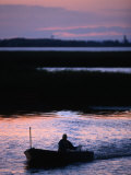 Buy Fisherman in Boat Heading Back to Dock Near Tisza Lake (Tisza To), Tiszafured, Hungary at AllPosters.com