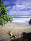 Buy Woman on Beach, Hana Maui, HI at AllPosters.com