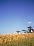 Buy Combine in Field at AllPosters.com