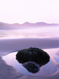 Buy Sunrise at Shi Shi Beach Olympic National Park, WA at AllPosters.com