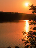 Buy Sunset Over Hopedale Pond & Geese, Hopedale, MA at AllPosters.com