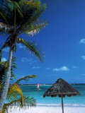 Buy Tropical Beach at AllPosters.com