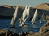 Fleet of Feluccas Parade down the Nile River near Aswan