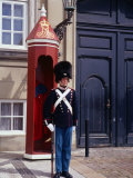 Buy Guard at Amalienborg Palace, Copenhagen, Denmark at AllPosters.com
