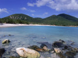 Buy Coral, Salt Pond Bay, St. John, USVI at AllPosters.com