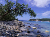 Buy Salt Pond Bay, St. John, USVI at AllPosters.com