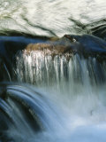 Buy Water Rushing over Rocks at AllPosters.com