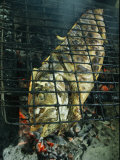 Buy Coronado Fish is Grilled over Hot Coals at AllPosters.com