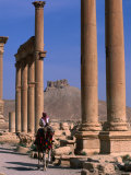 Rider on Camel Walking along the Colonnaded Street of Ruins, Palmyra, Syria