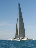 Buy Sailboat Race, Pt Huron to Mackinac Island, MI at AllPosters.com