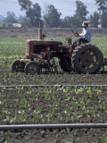 Farmer Sitting on Tractor