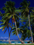 Buy Aerial View of Clouds and Sky from Plane Window, Bahamas at AllPosters.com