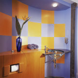 Ultra Modern Bathroom