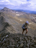 Uncompahgre Wilderness, Uncompahgre National Forest, Colorado, USA