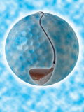 Buy Golf Club Around Golf Ball at AllPosters.com