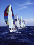 Buy Sailboat Race at AllPosters.com