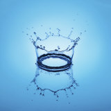 Water Drop and Splash