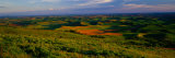 Buy Fields and Wildflowers, Palouse Country, Eastern at AllPosters.com