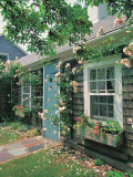 Summer Flower, Doorway, Nantucket, MA