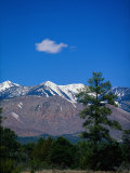 Buy Snow-Capped Mountains, AZ at AllPosters.com