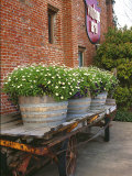 Buy Flowers on Old Baggage Wagon, Vintage 1870 Shops, Napa Valley, California, USA at AllPosters.com