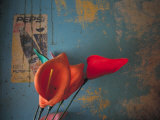 Colorful Still Life, Oaxaca, Mexico