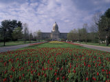 Buy Tulips of State Capital Building, Frankfurt, Kentucky, USA at AllPosters.com