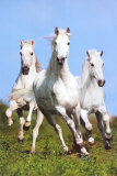 Three Running