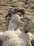 Statue of David in Piazza della Signoria, Florence, Italy