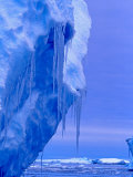 Buy Blue Icebergs, Antarctica at AllPosters.com