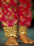 Indian Cultural Dances, Port of Spain, Trinidad, Caribbean