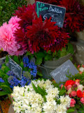 Florist in Ile St. Louis, Paris, France