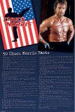 Buy Chuck Norris at AllPosters.com