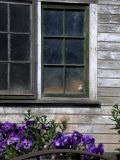 Buy Old Barn with Cat in the Window, Whitman County, Washington, USA at AllPosters.com