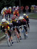 Buy Bicycle Racers at Volunteer Park, Seattle, Washington, USA at AllPosters.com