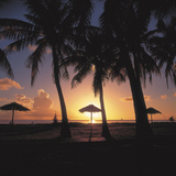 Buy Golden Sunset with Silhouette of Palm Trees and Beach Umbrellas at AllPosters.com