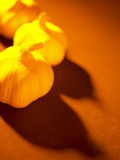 Buy Three Heads of Garlic on Orange Surface at AllPosters.com