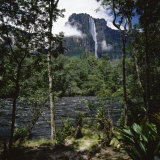 Angel Falls Orinoco Basin Canaima National Park Venezuela