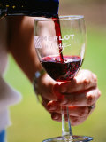 Wine Pouring into a Glass, Napa Valley, United States of America