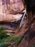 Buy Lower Calf Creek Falls, Grand Staircase-Escalante National Monument, U.S.A. at AllPosters.com