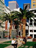 People Sitting in a Garden in Union Square, San Francisco, United States of America