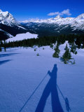 Shadow of a Cross Country Skier on Snow, Banff, Canada