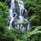 Buy Waterfall Cascading Over Rocks in a Lush Forest Setting at AllPosters.com