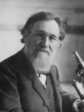 Buy Elie Metchnikoff (Ilya Ilich Mechnikov) Russian Zoologist and Bacteriologist at AllPosters.com
