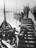 Buy The Day's Catch is Unloaded from a Fishing Boat at Staithes Yorkshire at AllPosters.com