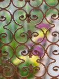 Garden Detail on Via Tiberio, Capri, Bay of Naples, Campania, Italy