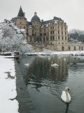 Chateau de Vizille Park, Swan Lake, Vizille, Isere, French Alps, France